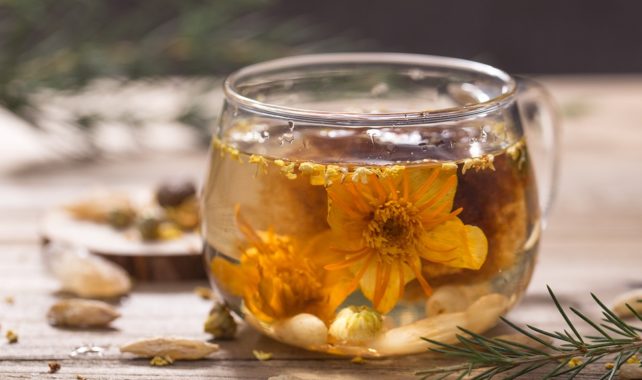 Reasons To Include Jasmine Infusion To Your Day